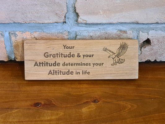 Attitude Determines Altitude Panel